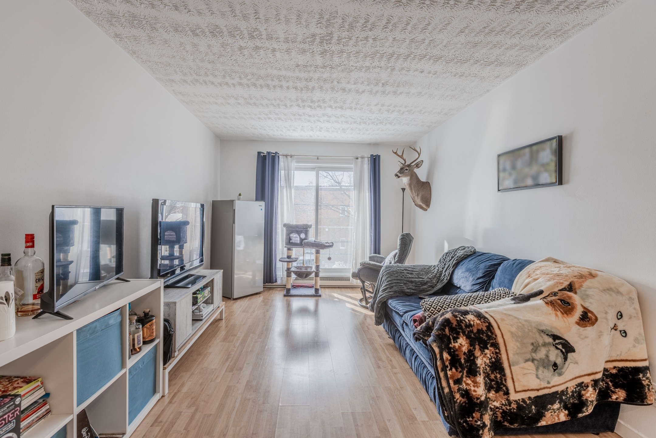 Grande Allée / Brown - Unité 10 image 1